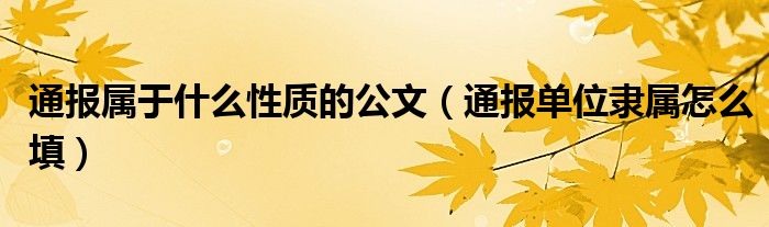 通报属于什么性质的公文（通报单位隶属怎么填）