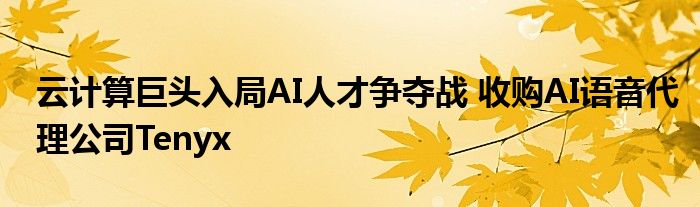 云计算巨头入局AI人才争夺战 收购AI语音代理公司Tenyx