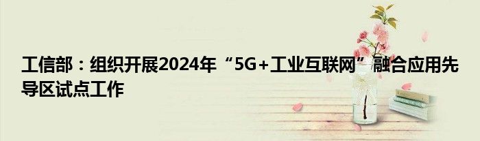 工信部：组织开展2024年“5G+工业
”融合应用先导区试点工作