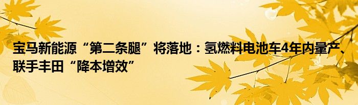 宝马新能源“第二条腿”将落地：氢燃料电池车4年内量产、联手丰田“降本增效”