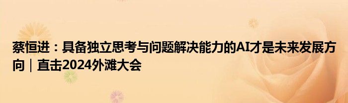 蔡恒进：具备独立思考与问题解决能力的AI才是未来发展方向｜直击2024外滩大会