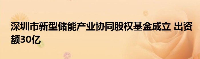 深圳市新型储能产业协同股权基金成立 出资额30亿