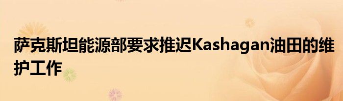 萨克斯坦能源部要求推迟Kashagan油田的维护工作