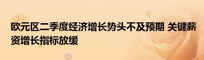 欧元区二季度经济增长势头不及预期 关键薪资增长指标放缓