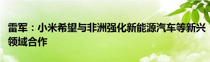 雷军：小米希望与非洲强化新能源汽车等新兴领域合作