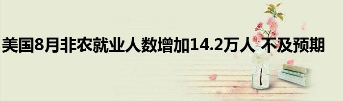 美国8月非农就业人数增加14.2万人 不及预期