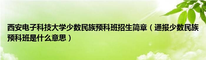 西安电子科技大学少数民族预科班招生简章（通报少数民族预科班是什么意思）