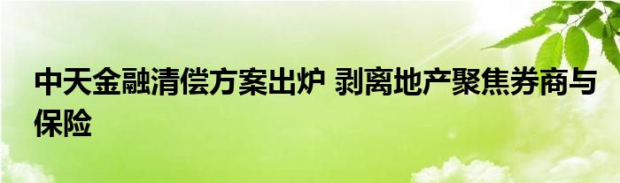 中天
清偿方案出炉 剥离地产聚焦券商与保险