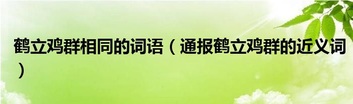 鹤立鸡群相同的词语（通报鹤立鸡群的近义词）