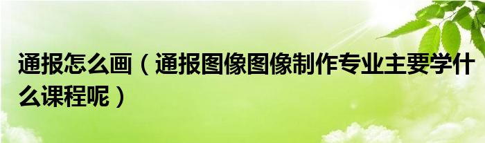 通报怎么画（通报图像图像制作专业主要学什么课程呢）