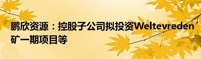 鹏欣资源：控股子公司拟投资Weltevreden矿一期项目等