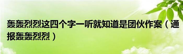 轰轰烈烈这四个字一听就知道是团伙作案（通报轰轰烈烈）