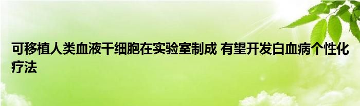 可移植人类血液干细胞在实验室制成 有望开发白血病个性化疗法