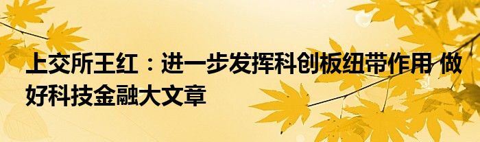 上交所王红：进一步发挥科创板纽带作用 做好科技
大文章