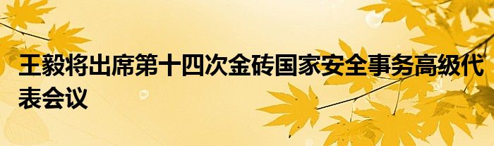 王毅将出席第十四次金砖国家安全事务高级代表会议