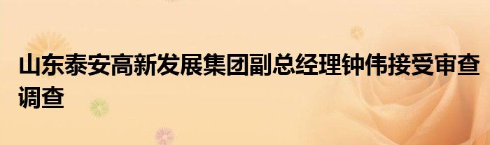 山东泰安高新发展集团副总经理钟伟接受审查调查