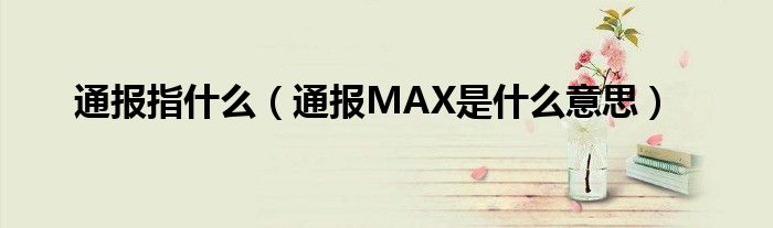 通报指什么（通报MAX是什么意思）