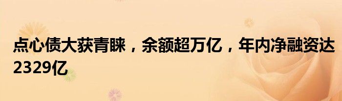 点心债大获青睐，余额超万亿，年内净融资达2329亿