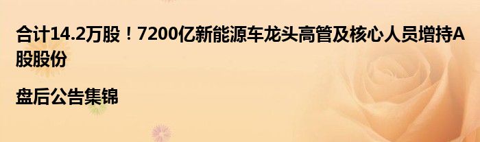 合计14.2万股！7200亿新能源车龙头高管及核心人员增持A股股份|盘后公告集锦