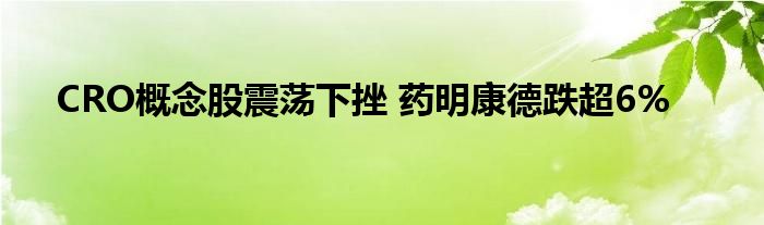 CRO概念股震荡下挫 药明康德跌超6%