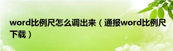 word比例尺怎么调出来（通报word比例尺下载）