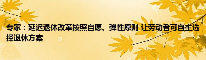 专家：延迟退休改革按照自愿、弹性原则 让劳动者可自主选择退休方案