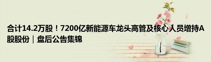 合计14.2万股！7200亿新能源车龙头高管及核心人员增持A股股份｜盘后公告集锦