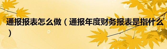 通报报表怎么做（通报年度财务报表是指什么）