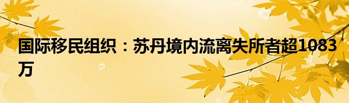 国际移民组织：苏丹境内流离失所者超1083万