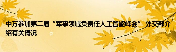 中方参加第二届“军事领域负责任人工智能峰会” 外交部介绍有关情况