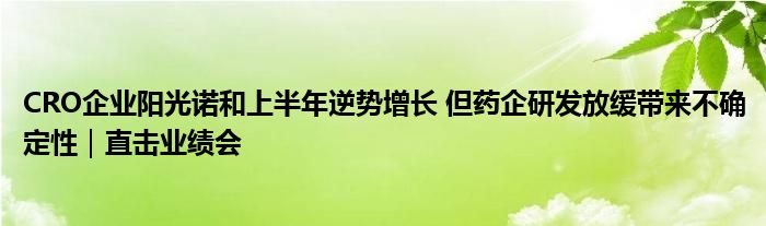 CRO企业阳光诺和上半年逆势增长 但药企研发放缓带来不确定性｜直击业绩会