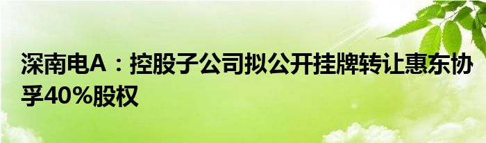 深南电A：控股子公司拟公开挂牌转让惠东协孚40%股权