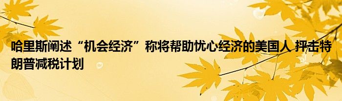 哈里斯阐述“机会经济”称将帮助忧心经济的美国人 抨击特朗普减税计划