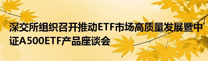 深交所组织召开推动ETF市场高质量发展暨中证A500ETF产品座谈会