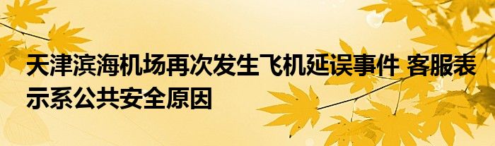 天津滨海机场再次发生飞机延误事件 客服表示系公共安全原因