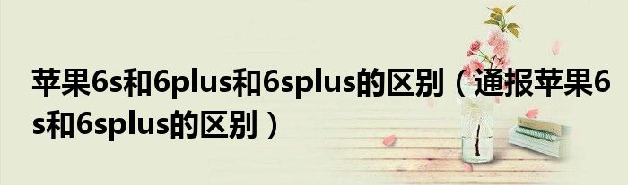 苹果6s和6plus和6splus的区别（通报苹果6s和6splus的区别）