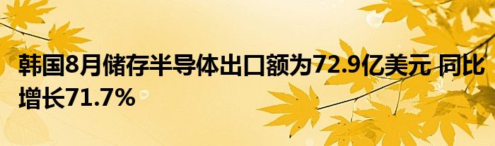 韩国8月储存半导体出口额为72.9亿美元 同比增长71.7%