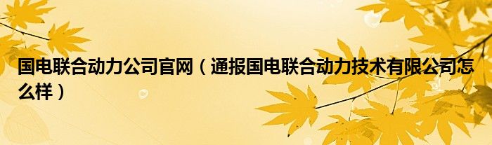 国电联合动力公司官网（通报国电联合动力技术有限公司怎么样）