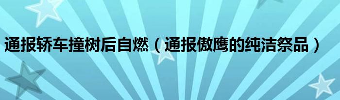 通报轿车撞树后自燃（通报傲鹰的纯洁祭品）