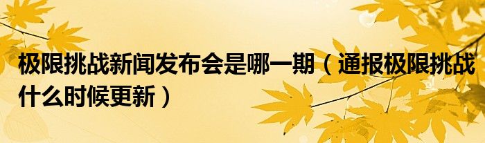 极限挑战新闻发布会是哪一期（通报极限挑战什么时候更新）