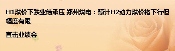 H1煤价下跌业绩承压 郑州煤电：预计H2动力煤价格下行但幅度有限|直击业绩会