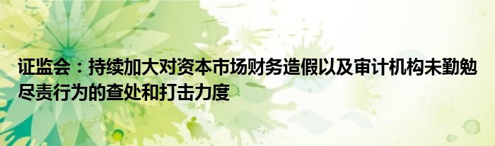 证监会：持续加大对资本市场财务造假以及审计机构未勤勉尽责行为的查处和打击力度