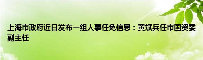 上海市政府近日发布一组人事任免信息：黄斌兵任市国资委副主任