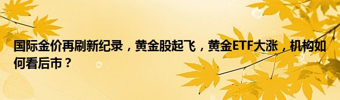 国际金价再刷新纪录，黄金股起飞，黄金ETF大涨，机构如何看后市？