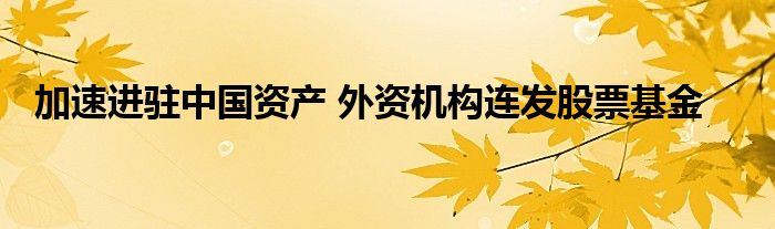 加速进驻中国资产 外资机构连发股票基金