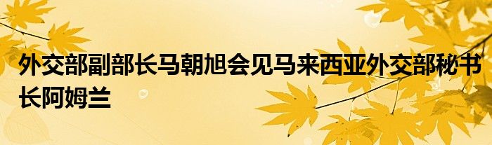 外交部副部长马朝旭会见马来西亚外交部秘书长阿姆兰