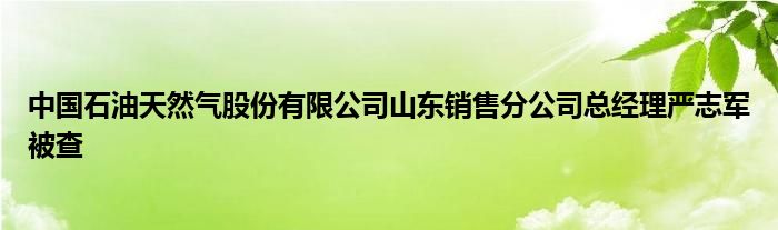 中国石油天然气股份有限公司山东销售分公司总经理严志军被查