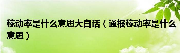 稼动率是什么意思大白话（通报稼动率是什么意思）