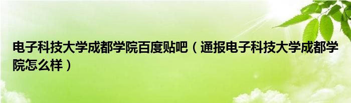 电子科技大学成都学院百度贴吧（通报电子科技大学成都学院怎么样）