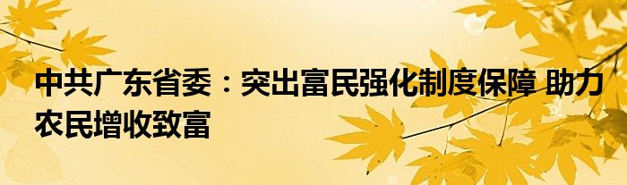 中共广东省委：突出富民强化制度保障 助力农民增收致富